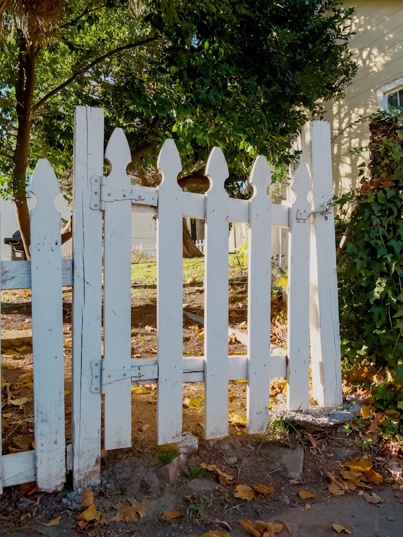 Cedar dog-ear pickets (5/8 × 6 × 6 ft)