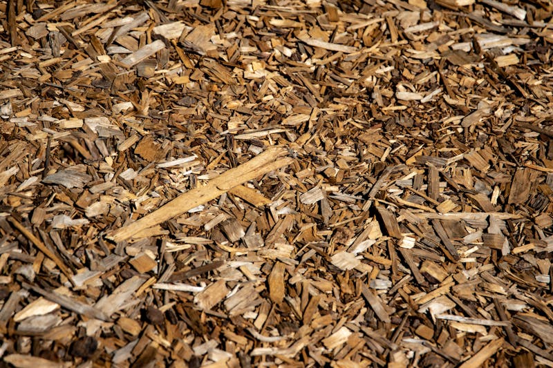 Cedar shredded mulch (2 cu ft bag)